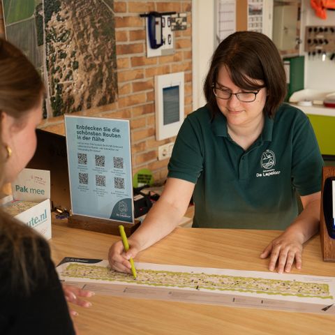 Duincamping de Lepelaar - Schagen - Afbeelding N°6