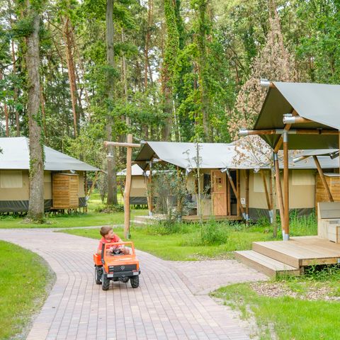 Safaritent 6 personen - Tongasoa Lodge