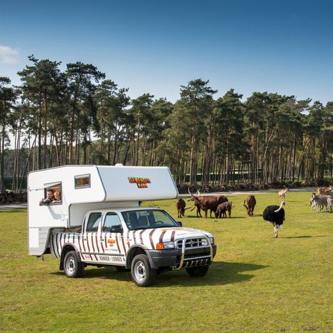UNIEKE ACCOMMODATIE 4 personen - Ranger