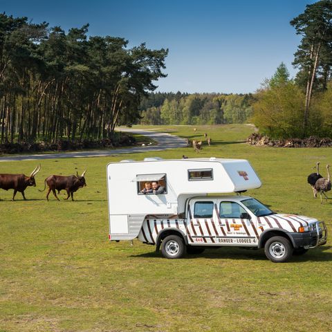 Accommodatie 4 personen - Ranger
