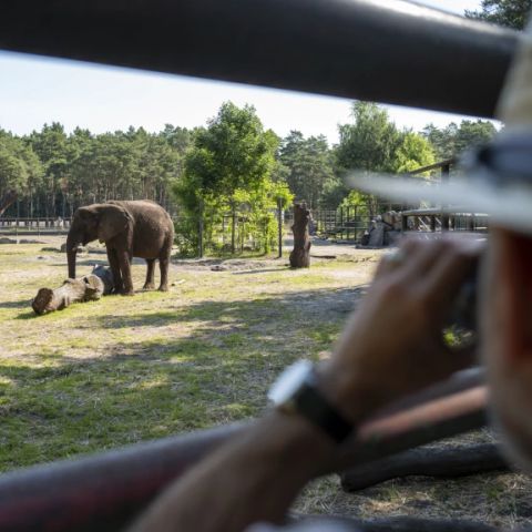 Serengeti Park - Nedersaksen - Afbeelding N°6
