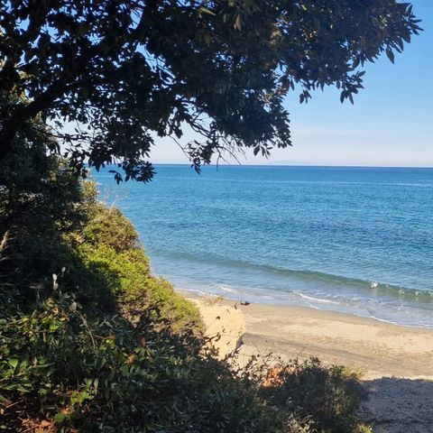 Camping Naturiste Calella - Noord-corsica - Afbeelding N°2