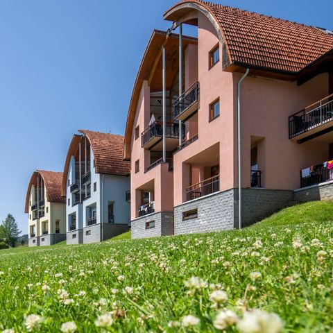 Landal Marina Lipno - Bohême-du-Sud - Afbeelding N°4