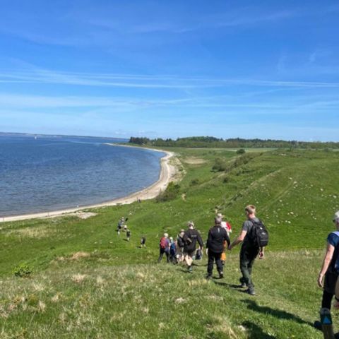 Vodatent Hvalpsund Familie Camping - Sjaelland - Afbeelding N°3