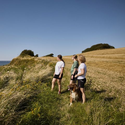 Vodatent Emmerbølle Strand Camping - Zuid-Denemarken - Afbeelding N°4