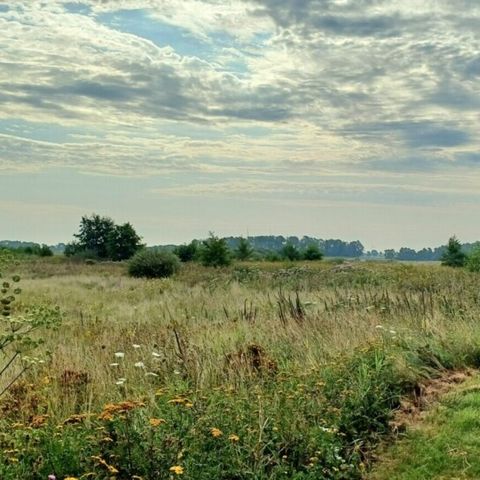 Vodatent Camping Hunze Bulten - Aa en Hunze - Afbeelding N°5