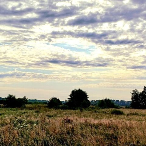 Vodatent Camping Hunze Bulten - Aa en Hunze - Afbeelding N°4