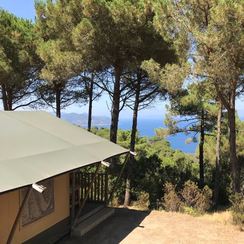 Safaritent 4 personen - incl. sanitair (ADVENTURE)