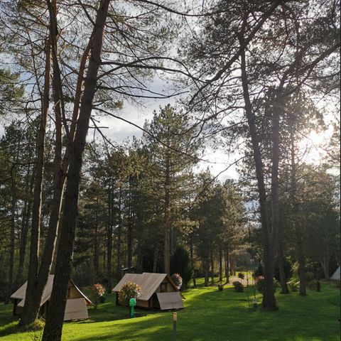 UNIEKE ACCOMMODATIE 2 personen - Glamping Duo - Fietstoerisme