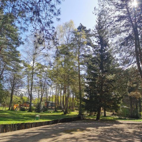 Camping Les Sapins de Corrèze - Corrèze - Afbeelding N°3