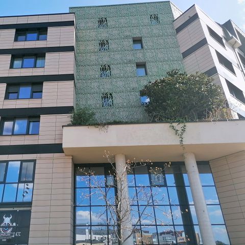 Terres de France - Appart Hotel Rouen Flaubert - Seine - Afbeelding N°5