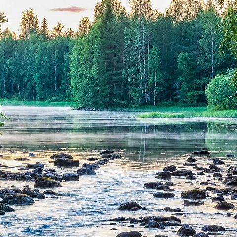 Vaikko Riverside Resort - North Karelia - Afbeelding N°3