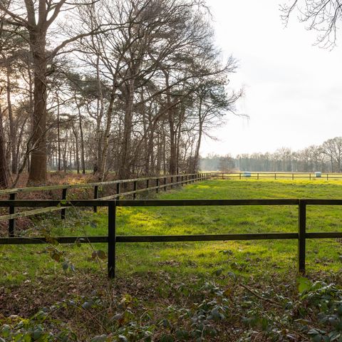 Chalet 6 personen - Lichtenberg