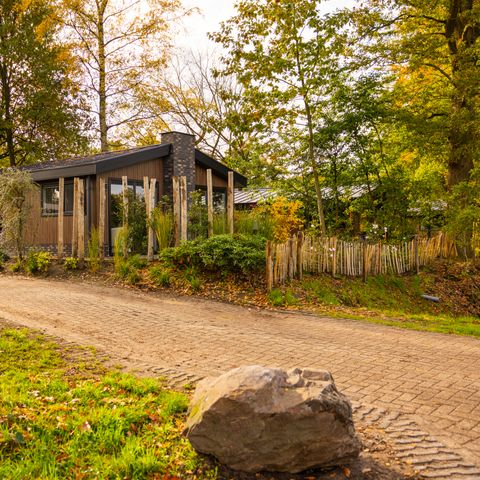 Chalet 6 personen - Ridderstede