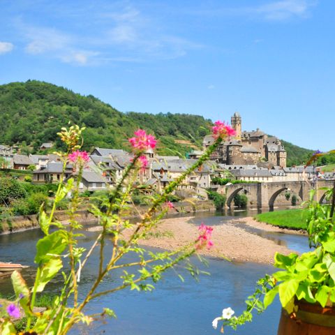 Résidence Goélia Les Gorges de la Truyère - Aveyron - Afbeelding N°2