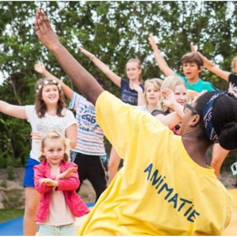 Kustpark Nieuwpoort - West-Vlaanderen - Afbeelding N°6