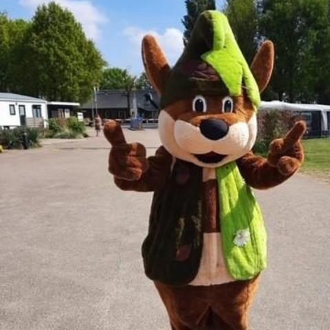 Recreatiepark Duinhoeve - Tilburg - Afbeelding N°3