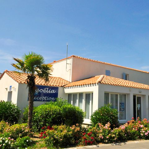 Résidence Goélia La Palmeraie - Charente-Maritime - Afbeelding N°3