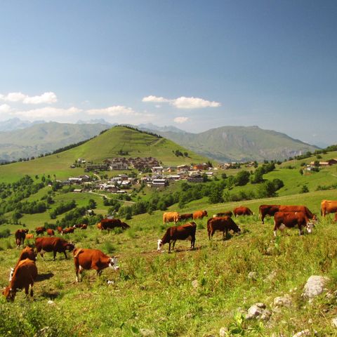 Résidence Goélia Le Relais des Pistes - Savoie - Afbeelding N°3