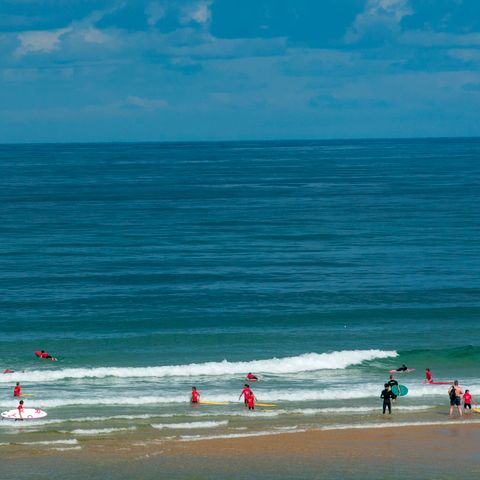 Résidence Goélia Les Jardins de l'Oyat - Landes - Afbeelding N°2