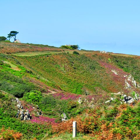 Résidence Goélia - An Douar - Finistère - Afbeelding N°4