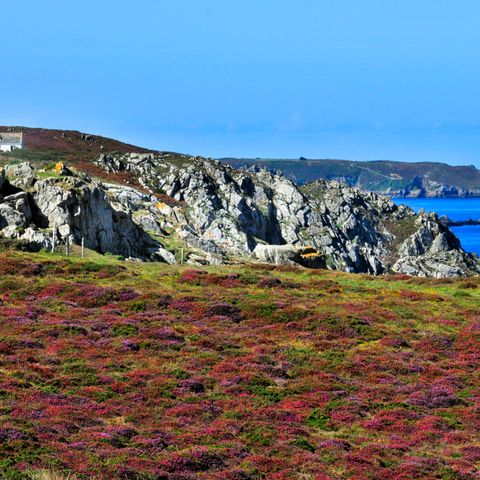 Résidence Goélia - An Douar - Finistère - Afbeelding N°5