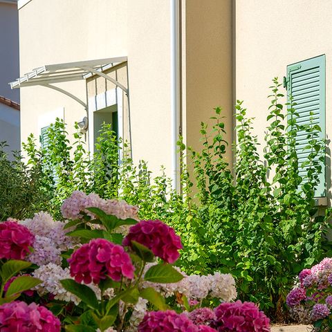 VAKANTIEHUIS 8 personen - G/100_HUIS 4 KAMERS 8 PERSONEN