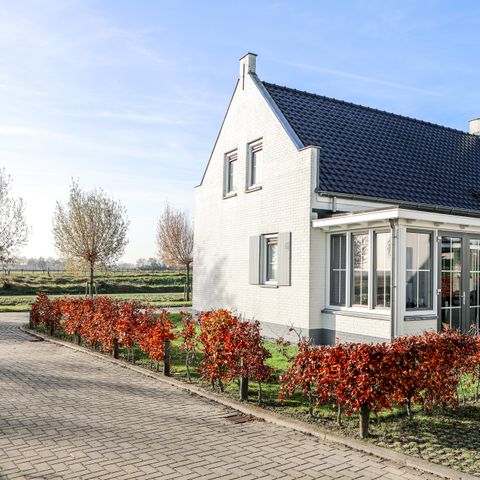 VAKANTIEHUIS 8 personen - Locatie: Wolphaartsdijk - 9