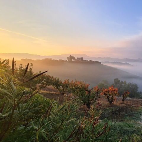 Vodatent Agricola la Casetta - Ascoli Piceno - Afbeelding N°6
