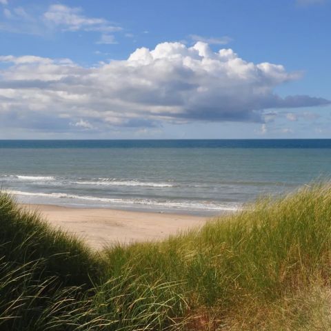 Vodatent Tornby Strand Camping - Noord -Jutland - Afbeelding N°3