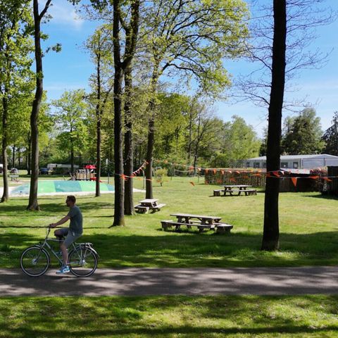 Vodatent Park Drentheland - Westerveld - Afbeelding N°4