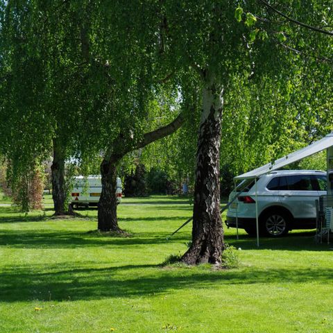 Vodatent Camping de Boerenzwaluw - Hollands Kroon - Afbeelding N°6