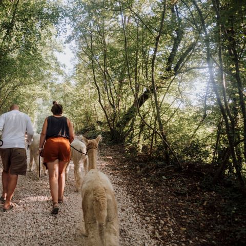 Vodatent Camping Sensazione - Ancona - Afbeelding N°2