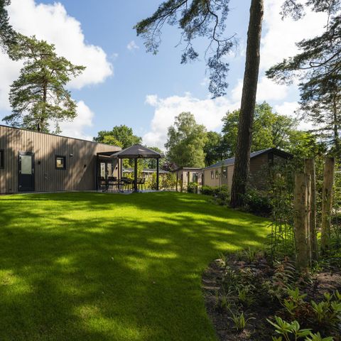 LODGE 4 personen - Havenlicht