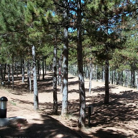 Camping Las Cabanas - Teruel - Afbeelding N°5