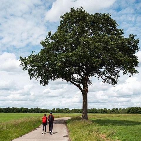 Landgoed de Huynen - Aa en Hunze - Afbeelding N°5