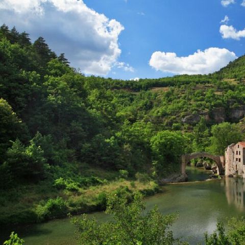 Camping la Claparède - Aveyron - Afbeelding N°6