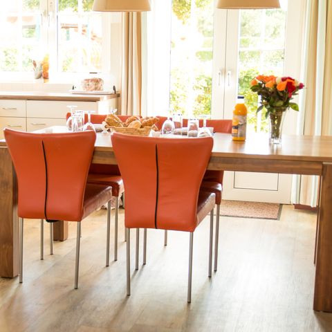 Bungalowparck Tulp & Zee - Noordwijk - Afbeelding N°4