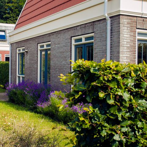 Bungalowparck Tulp & Zee - Noordwijk - Afbeelding N°2