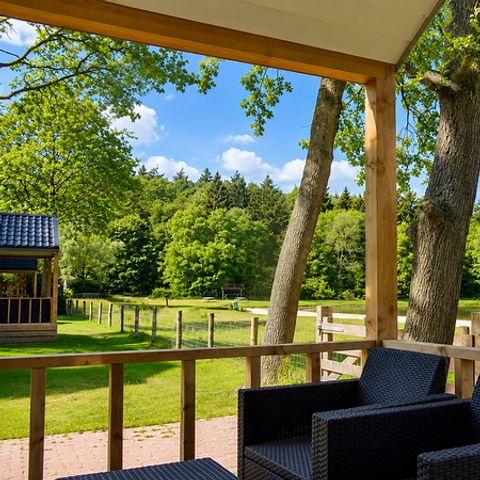 Camping 't Veld - Hardenberg - Afbeelding N°5