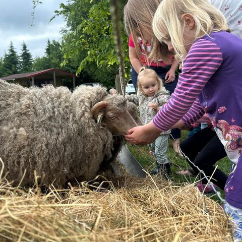 Zomers Buiten - Pekela - Afbeelding N°2