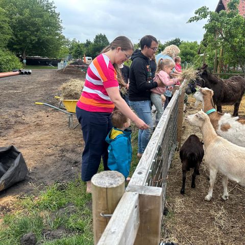 Zomers Buiten - Pekela - Afbeelding N°3