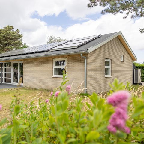 Bungalow 4 personen - Riant Eco met sauna
