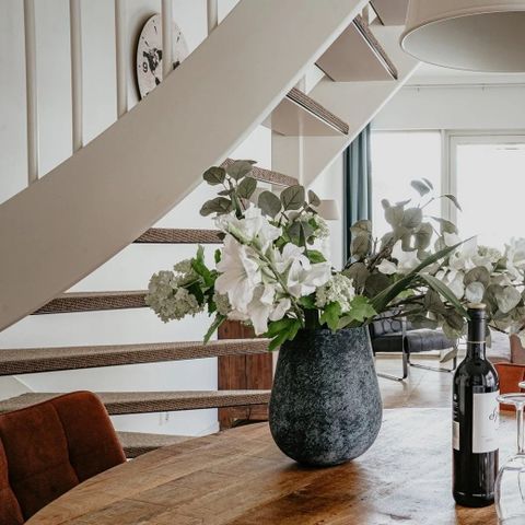 Appartement 3 personen - Duinappartement met Zonneterras