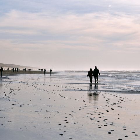 Waterhuisjes Egmond aan Zee - Bergen - Afbeelding N°2