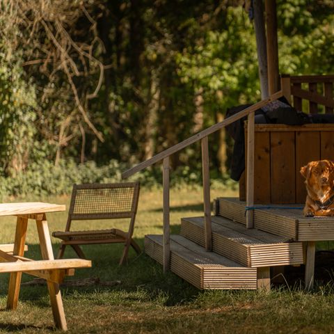 Safaritent 5 personen - Bos Escape - Kachel & Hottub