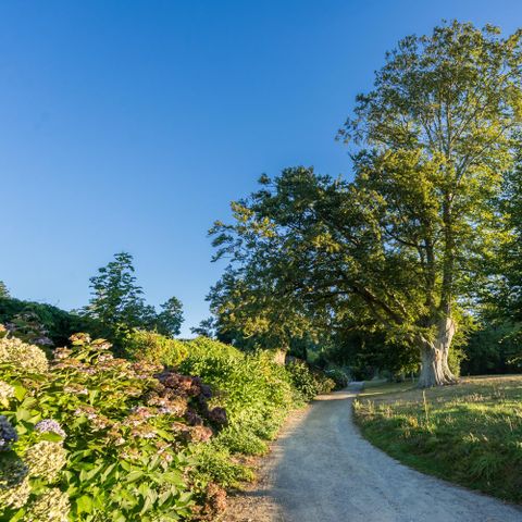 VAKANTIEHUIS 2 personen - Maison du Bateau (privétuin)