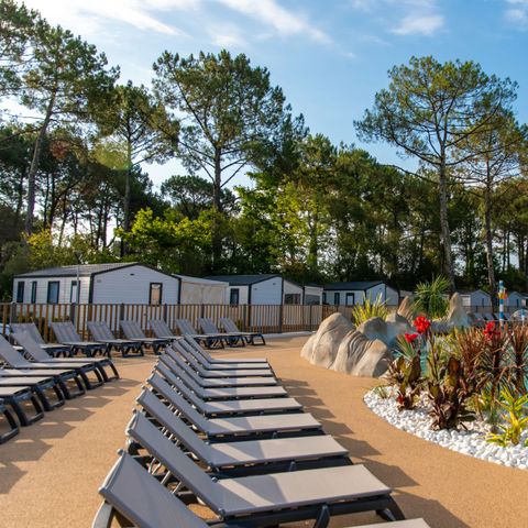 Camping Club Navarrosse Plage 4* - MS VACANCES - Landes - Afbeelding N°3