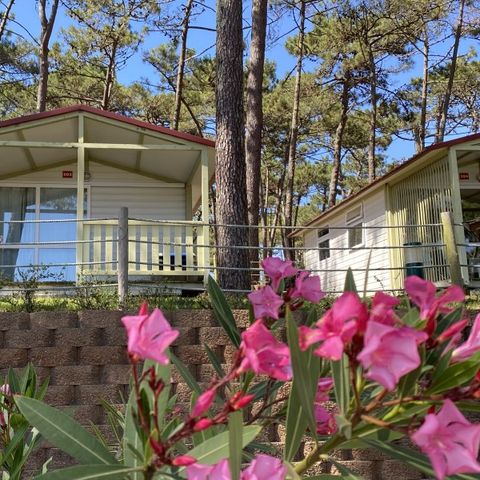 Bungalow 2 personen - ATLANTICO