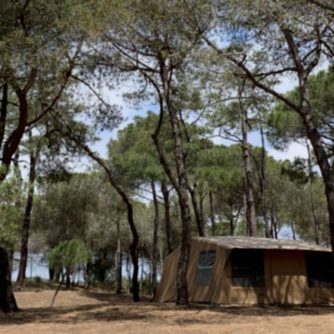 Tent 4 personen - Escapade tent (zonder sanitair)
